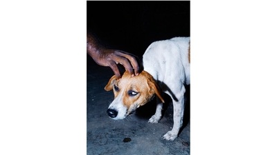 The&nbsp;images switch between being brutal, funny, dark and silly and all together at once.&nbsp;Sohrab Hura designs and edits his books himself. “The work was made over seven years and is like Chinese whispers—each time we narrate, something changes. It’s like narrative is the new warfare,” he says. (Sohrab Hura)