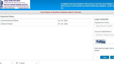 Candidates who had appeared for the Specialist Officers (CRP-SPL-XI) main exam and qualified for interview can check their scores at ibps.in. (ibps.in)