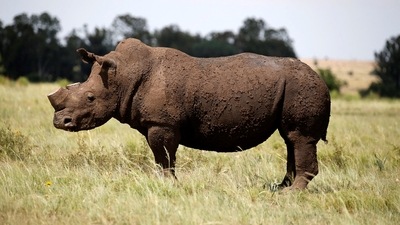 Representational image. (REUTERS)