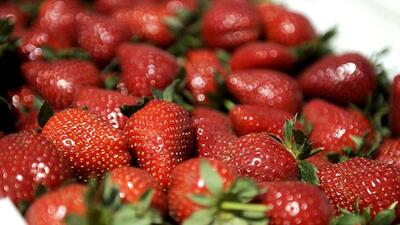 By the end of the nineteenth century, strawberries grown in Mahabaleshwar had started getting attention from all over the country. (AFP)
