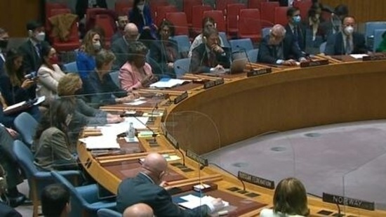 Russia and China supported Russia-led resolution in the UNSC on Wednesday.&nbsp;