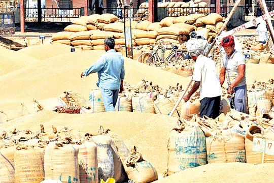 (HT File Photo/ Representational image) (HT File Photo/ Representational image)