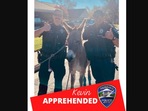The image of the donkey along with the cops was posted on Facebook.