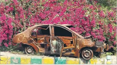This is probably the most surreal roadside sight these days in the entire Delhi region. (Mayank Austen Soofi) This is probably the most surreal roadside sight these days in the entire Delhi region. (Mayank Austen Soofi)