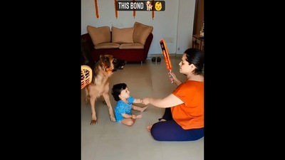 The image shows the dog protecting the kid in the sweet video. (Instagram/@taruna_sharma02)