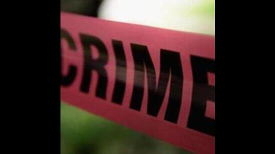 A 60-year-old woman was killed and her nephew, 36, injured after a bike-borne assailant opened fire on them on the Dholbaha-Daulatpur road along the Punjab-Himachal border on Friday.