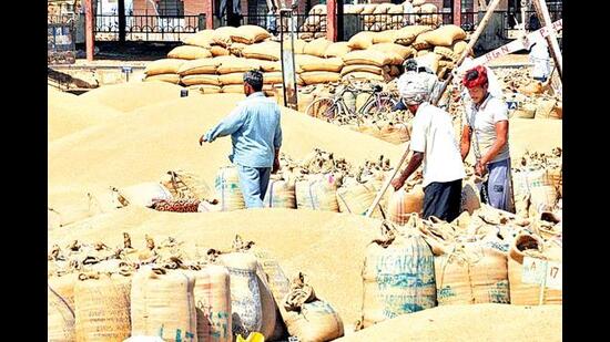 {Punjab govt to get tough with traders buying grain from other states: Minister