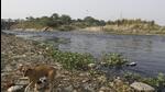 Najafgarh drain is the biggest drain in Delhi. (HT Archive) Najafgarh drain is the biggest drain in Delhi. (HT Archive)