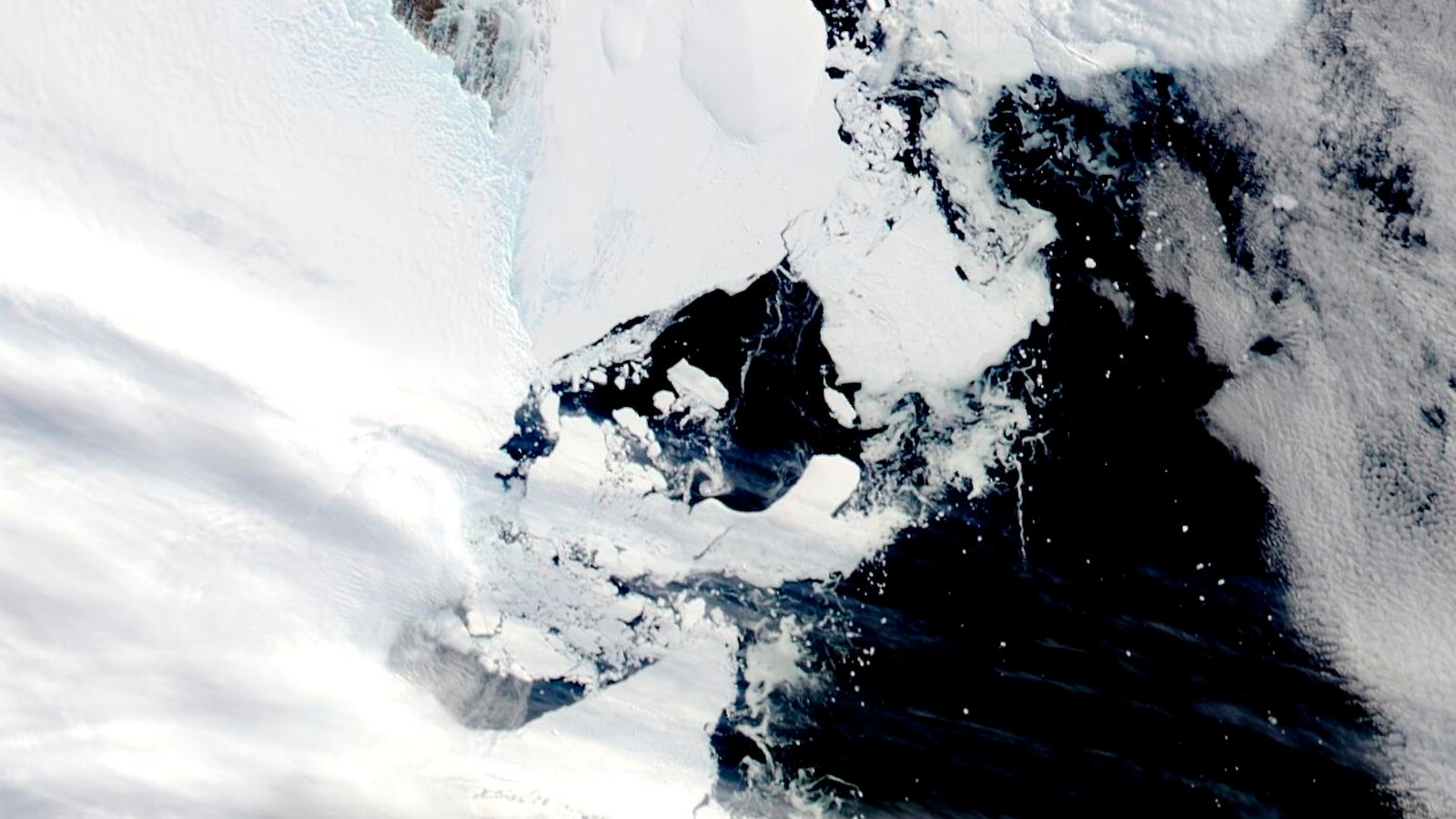 Ice Shelf About the Size of Los Angeles Collapses in Antarctica