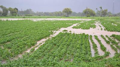 Urban development and cooperation minister Suresh Bhardwaj said in view of the progress made in the cooperative sector, plan has been prepared to promote cooperatives in the agriculture sector in Himachal. (HT File Photo/ Representational image)