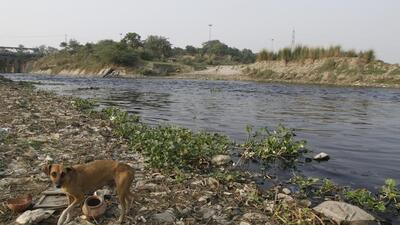 Najafgarh drain is the biggest drain in Delhi. (HT Archive) Najafgarh drain is the biggest drain in Delhi. (HT Archive)