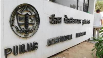 The MoA was sighned by PAU for smart seeder technology with two firms from Ludhiana and Ferozepur. (HT FILE)