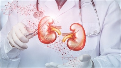 Fitness experts share diet tips to keep up your kidney health&nbsp; (Twitter/DrMehtaHospital)