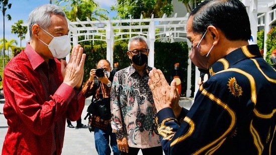 Singapore Prime Minister Lee Hsien Loong and Indonesia’s President Joko Widodo at their leaders’ retreat on Bintan island. Photo: AFP