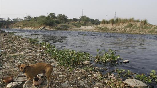 Najafgarh drain is the biggest drain in Delhi. (HT Archive)