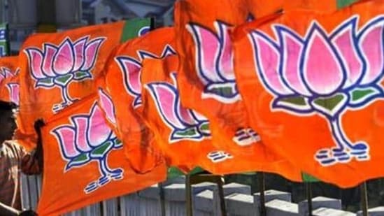 A Bharatiya Janta Party worker erecting BJP flags.(Nitin Kanotra / Hindustan Times)