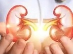 Acute kidney injury is a very common and dangerous disease, often leading to hospitalization and death. (HT File Photo) Acute kidney injury is a very common and dangerous disease, often leading to hospitalization and death. (HT File Photo)