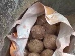 Crude bomb recovered in a plastic bag near a football ground in Birbhum district of West Bengal.(Twitter/ANI) Crude bomb recovered in a plastic bag near a football ground in Birbhum district of West Bengal.(Twitter/ANI)