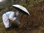 A search and rescuer worker wearing a protective suit holds an umbrella using a tool to conduct a search operation at the China Eastern flight crash site in Tengxian County on Saturday. A search and rescuer worker wearing a protective suit holds an umbrella using a tool to conduct a search operation at the China Eastern flight crash site in Tengxian County on Saturday.