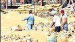 Punjab government starts process to construct covered godowns to store wheat. File photo Punjab government starts process to construct covered godowns to store wheat. File photo