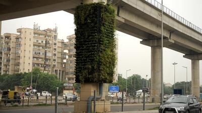 Around 14,000 trees will be felled to construct the Gurugram-Rewari highway. As per norms, ten times the number of trees that are felled for a project will have to be planted. (Parveen Kumar/HT PHOTO) Around 14,000 trees will be felled to construct the Gurugram-Rewari highway. As per norms, ten times the number of trees that are felled for a project will have to be planted. (Parveen Kumar/HT PHOTO)