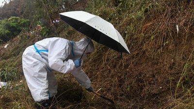 A search and rescuer worker wearing a protective suit holds an umbrella using a tool to conduct a search operation at the China Eastern flight crash site in Tengxian County on Saturday. (AP)
