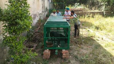 A wildlife department team, along with police personnel, has also been deployed in the area. (HT Photo)