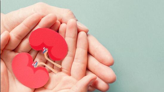 The donated organs of 32-year-old PGIMER, Chandigarh, patient were give new lease of life to six (Shutterstock)