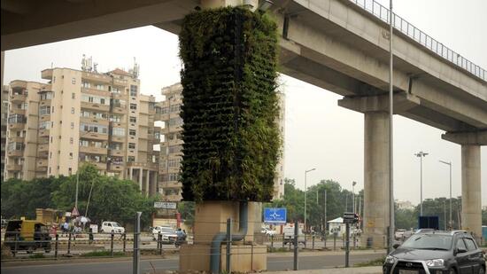 Around 14,000 trees will be felled to construct the Gurugram-Rewari highway. As per norms, ten times the number of trees that are felled for a project will have to be planted. (Parveen Kumar/HT PHOTO)
