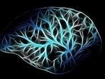 Peripheral nervous system has an important role to play as it sends information from your brain and spinal cord to the rest of the body.(Pixabay) Peripheral nervous system has an important role to play as it sends information from your brain and spinal cord to the rest of the body.(Pixabay)