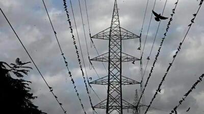 As per information received, power is supplied to MSEDCL’s DSK substation from Nanded City 220 KV substation through a 22 KV power line. (REPRESENTATIVE PHOTO) As per information received, power is supplied to MSEDCL’s DSK substation from Nanded City 220 KV substation through a 22 KV power line. (REPRESENTATIVE PHOTO)