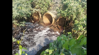 The area of Tarapur MIDC, spread over 15 villages in the Palghar district, is crisscrossed by a network of creeks, lakes and rivers leading to the sea. (HT Photo)