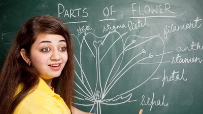 Here are some tips and guidance for scoring well in the Biology subject in Class 12 Term-II examinations. (Getty Images/iStockphoto) Here are some tips and guidance for scoring well in the Biology subject in Class 12 Term-II examinations. (Getty Images/iStockphoto)