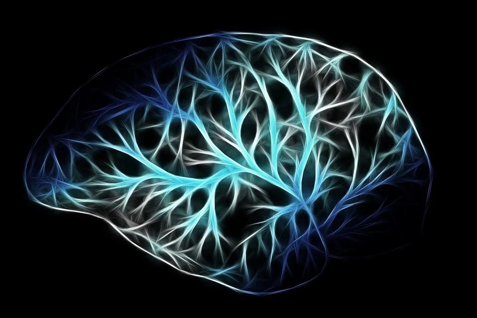 Peripheral nervous system has an important role to play as it sends information from your brain and spinal cord to the rest of the body. (Pixabay) Peripheral nervous system has an important role to play as it sends information from your brain and spinal cord to the rest of the body. (Pixabay)