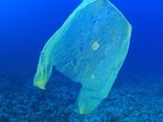 Proceeding with the intention to end plastic pollution, an international legally binding instrument needs to be introduced(Wikimedia Commons)