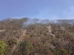 Fire in the forest area of Sariska Tiger Reserve in Rajasthan's Alwar district. (HT Photo)