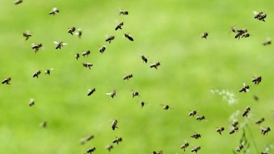 Representational image.&nbsp;