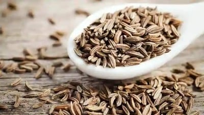 Cumin or jeera: This Indian spice can be found in any desi household. It helps aid digestion as well as the production of milk. (Pinterest) Cumin or jeera: This Indian spice can be found in any desi household. It helps aid digestion as well as the production of milk. (Pinterest)