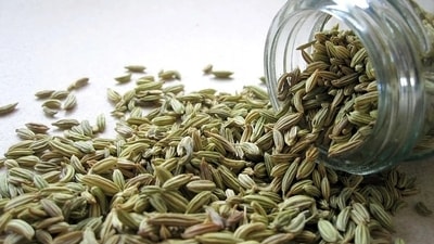Fennel seeds: Fennel seeds is being used for centuries to increase milk flow. It has galactagogue, a substance that helps in increasing breastmilk supply. (Pixabay) Fennel seeds: Fennel seeds is being used for centuries to increase milk flow. It has galactagogue, a substance that helps in increasing breastmilk supply. (Pixabay)