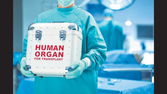 The organ donations came to a halt in March 2020 soon as the pandemic hit Mumbai. (Getty Images)