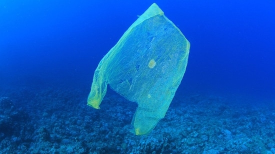 Proceeding with the intention to end plastic pollution, an international legally binding instrument needs to be introduced(Wikimedia Commons)