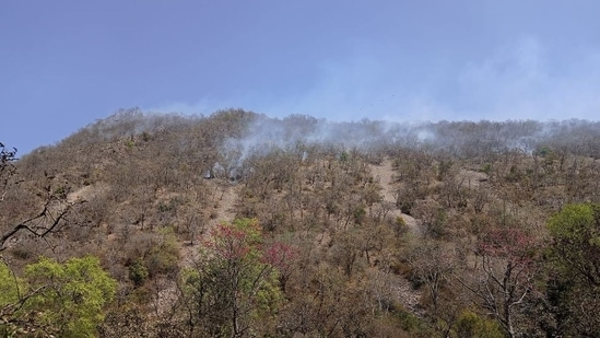 Fire in the forest area of Sariska Tiger Reserve in Rajasthan's Alwar district. (HT Photo)