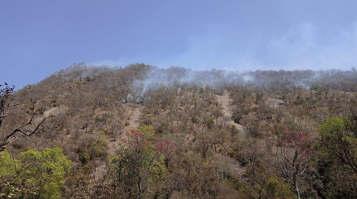 Fire in the forest area of Sariska Tiger Reserve in Rajasthan's Alwar district. (HT Photo)