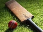 Cricket bat and ball Cricket bat and ball