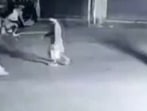 Passersby can be seen running to safety after the bomb was thrown and security personnel immediately came out of the bunker to douse the fire with buckets of water.