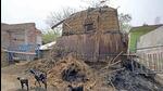 Eight people, mostly women and children, were killed on March 21 following the killing of TMC panchayat leader Bhadu Sheikh in Bogtui village of Birbhum district. One more woman succumbed on Monday, taking the toll to nine (PTI) Eight people, mostly women and children, were killed on March 21 following the killing of TMC panchayat leader Bhadu Sheikh in Bogtui village of Birbhum district. One more woman succumbed on Monday, taking the toll to nine (PTI)