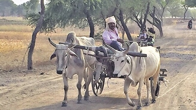 India has recovered roughly 47% of the 190 million rural homes under the Jal Jeevan Mission (HT Photo)