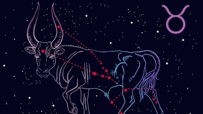 You have been busy but you must take out time to explore new things around you.