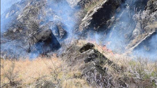 The glaciologists said that the fire in the Parvati Valley is affecting a very large forest area near the glaciated region The glaciologists said that the fire in the Parvati Valley is affecting a very large forest area near the glaciated region