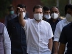 Congress leader Rahul Gandhi&nbsp;